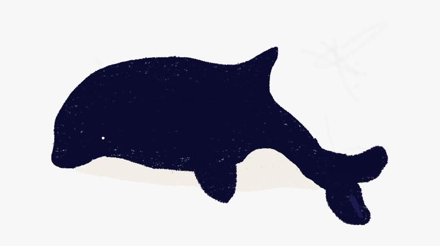 #whale #freetoedit - Fish, HD Png Download, Free Download