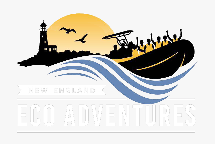 New England Eco Adventures - New England Icons Lighthouse, HD Png Download, Free Download