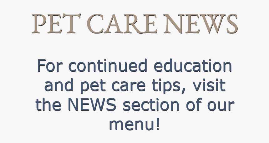 For Continued Education And Pet Care Tips, Visit The - Parallel, HD Png Download, Free Download