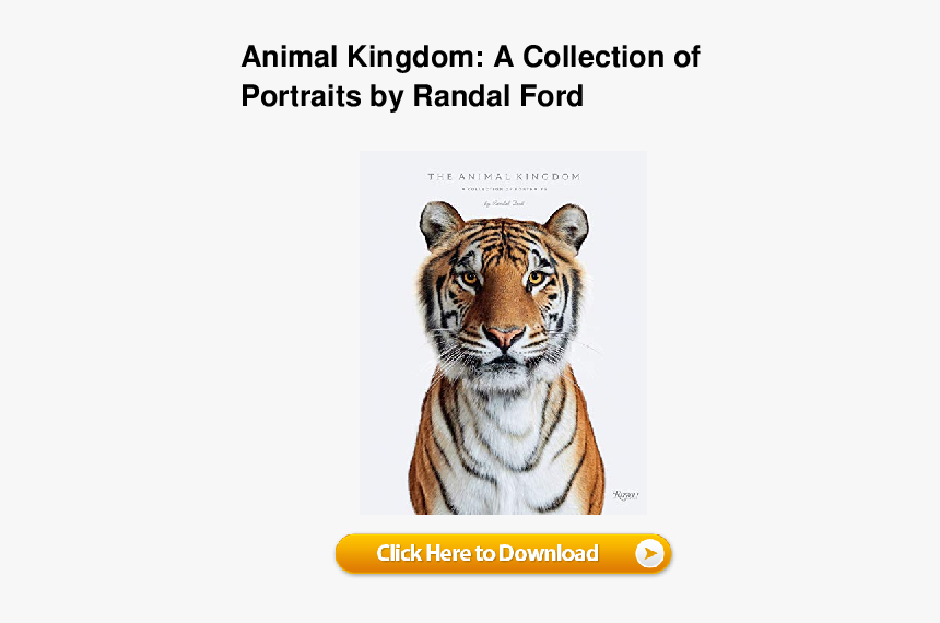 Siberian Tiger, HD Png Download, Free Download