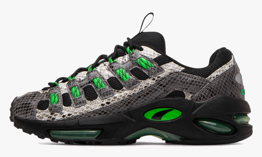 Puma Cell Endura Animal Kingdom, HD Png Download, Free Download