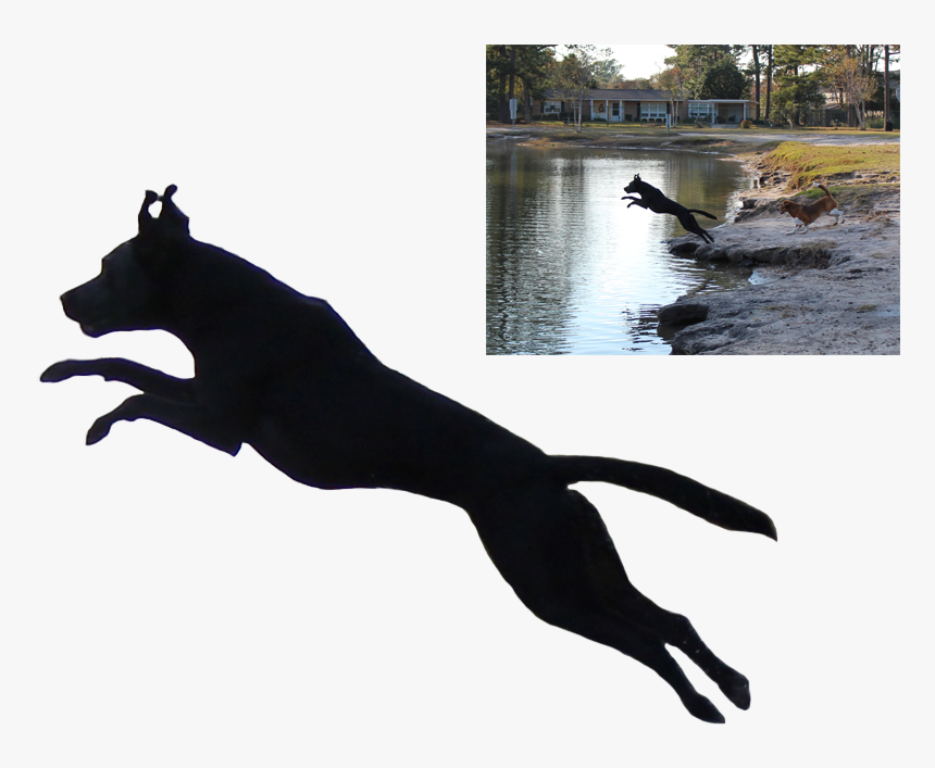 Jumping Dog Silhouette, HD Png Download, Free Download