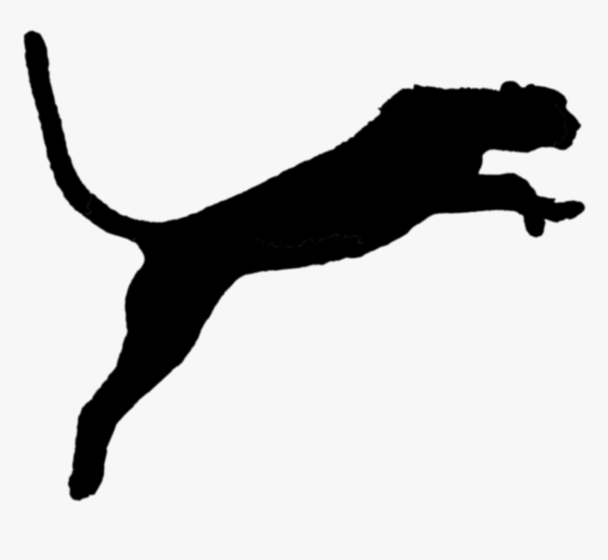 Cat Dog Clip Art Silhouette Line - Dog Catches Something, HD Png Download, Free Download