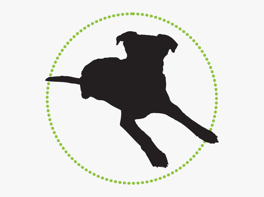 Transparent Jumping Dog Png - 8 Inch Round Stickers, Png Download, Free Download