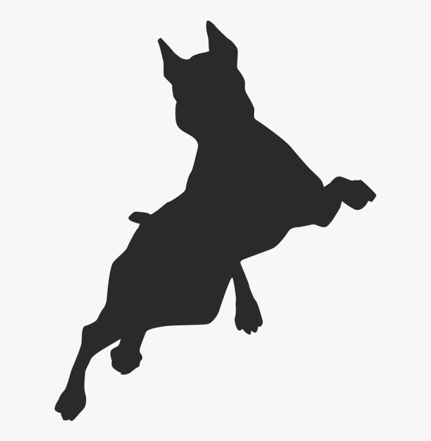 Border Collie Puppy Free Jumping Clip Art - Dog Jumping Vector, HD Png Download, Free Download