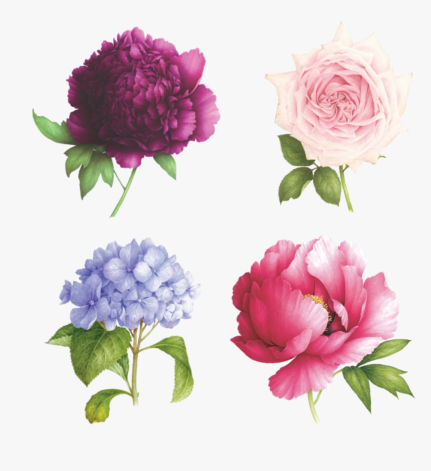 Scented Floral Temporary Tattoos , Png Download - Pink Peony, Transparent Png, Free Download