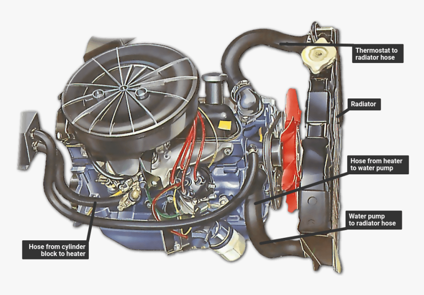 The Cooling System - Radiator Cap Hose, HD Png Download, Free Download