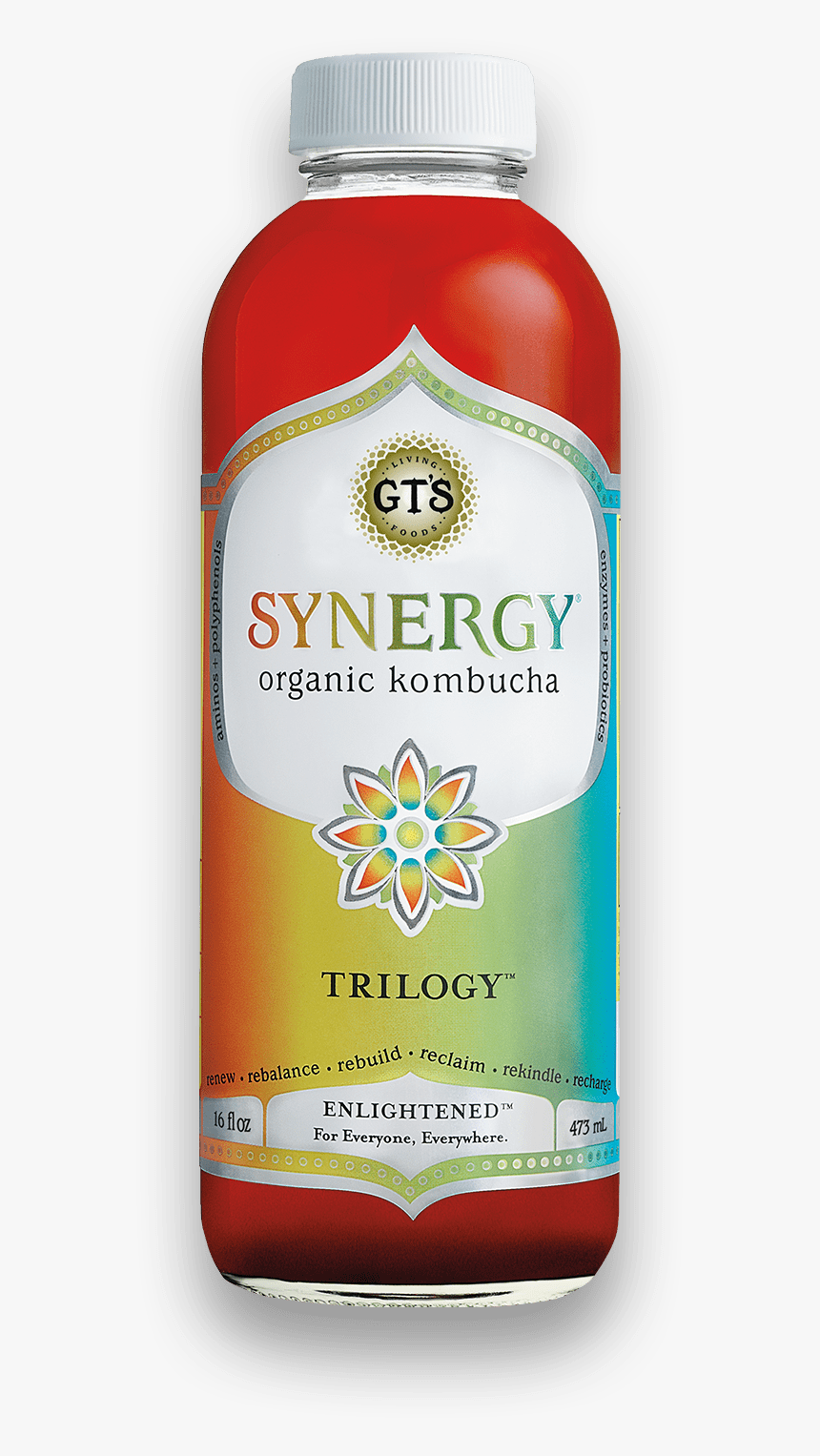 Trilogy Kombucha, HD Png Download, Free Download