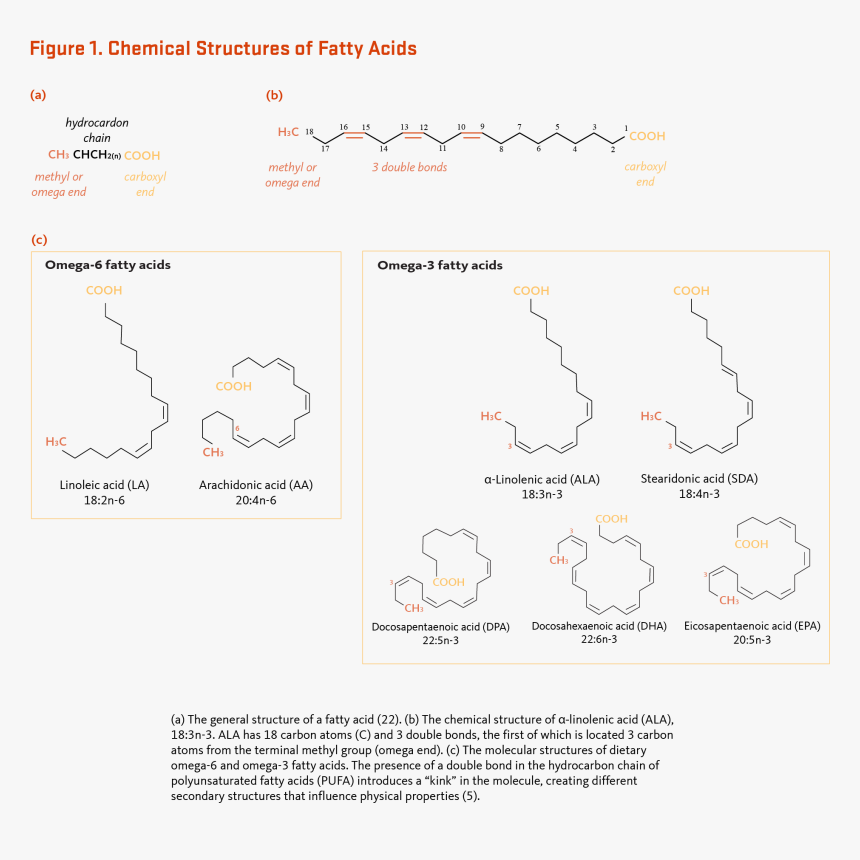 Diagram, HD Png Download, Free Download