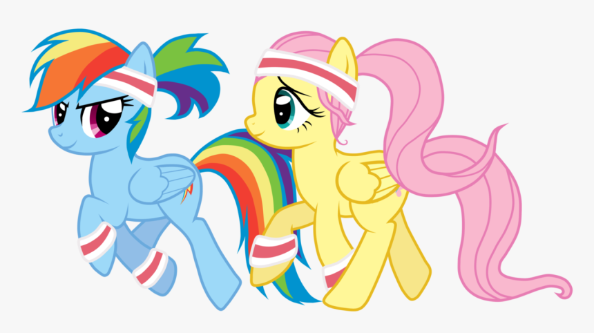 My Little Pony Fluttershy And Rainbow Dash