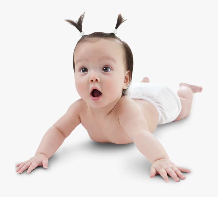 Baby - Asian Baby No Background, HD Png Download, Free Download