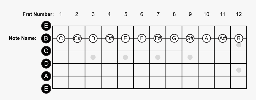 Guitar Notes Png - Guitar String Notes, Transparent Png, Free Download