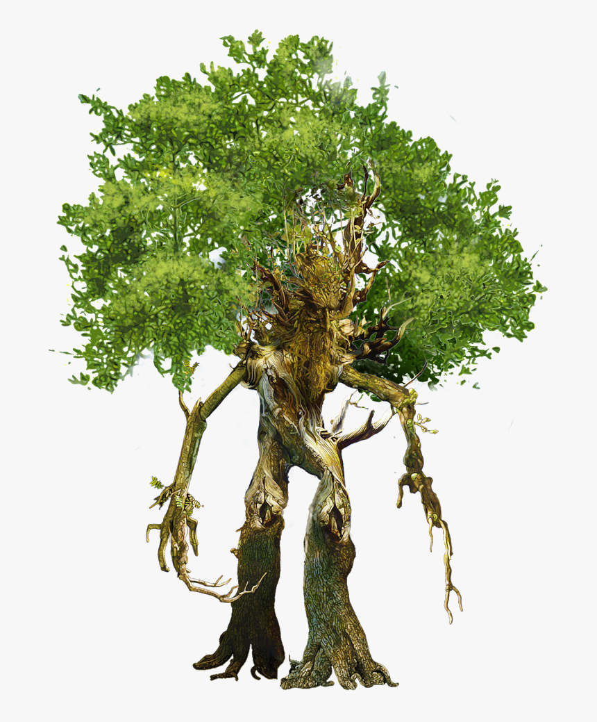 Root, HD Png Download, Free Download