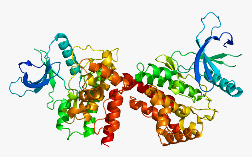 Protein Jak2 Pdb 2b7a - Janus Kinase 2, HD Png Download, Free Download