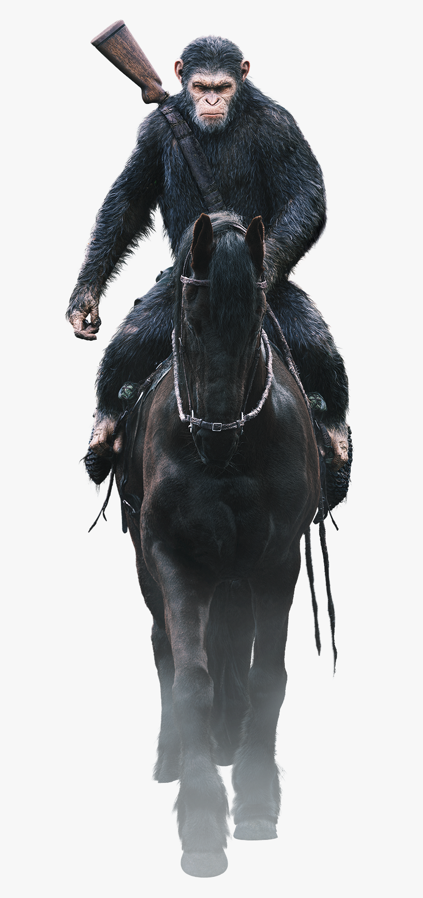 War For The Planet Of The Apes Png, Transparent Png, Free Download