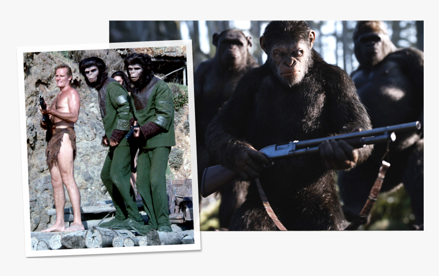 Planet Of The Apes Next To War For The Planet Of The, HD Png Download, Free Download