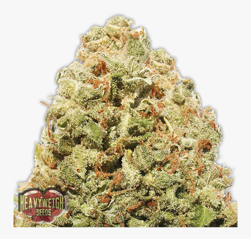 Strawberry Cake Weed Strain, HD Png Download, Free Download