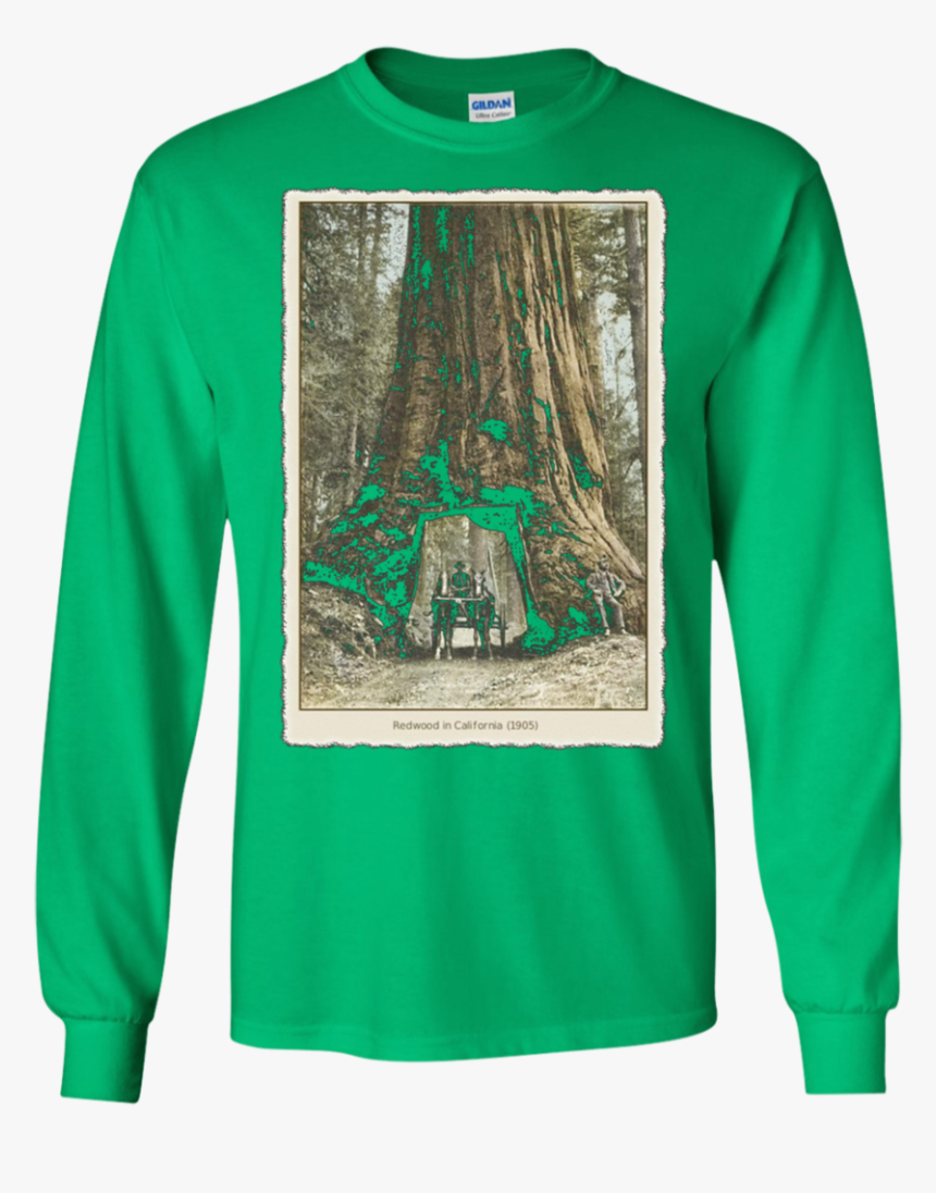 Transparent Redwood Tree Png - T-shirt, Png Download, Free Download