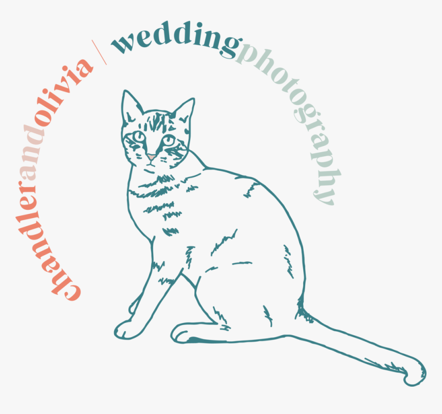 Chandler And Olivia Cat Logo - Accelerator Clipart, HD Png Download, Free Download