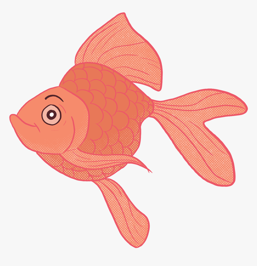 Goldfish, HD Png Download, Free Download