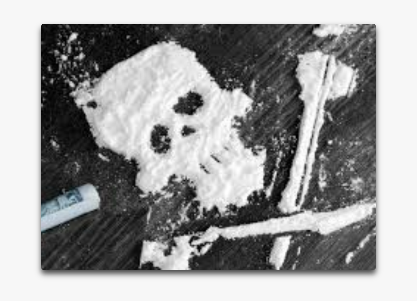 Cocaine - Cocaine Skull, HD Png Download, Free Download