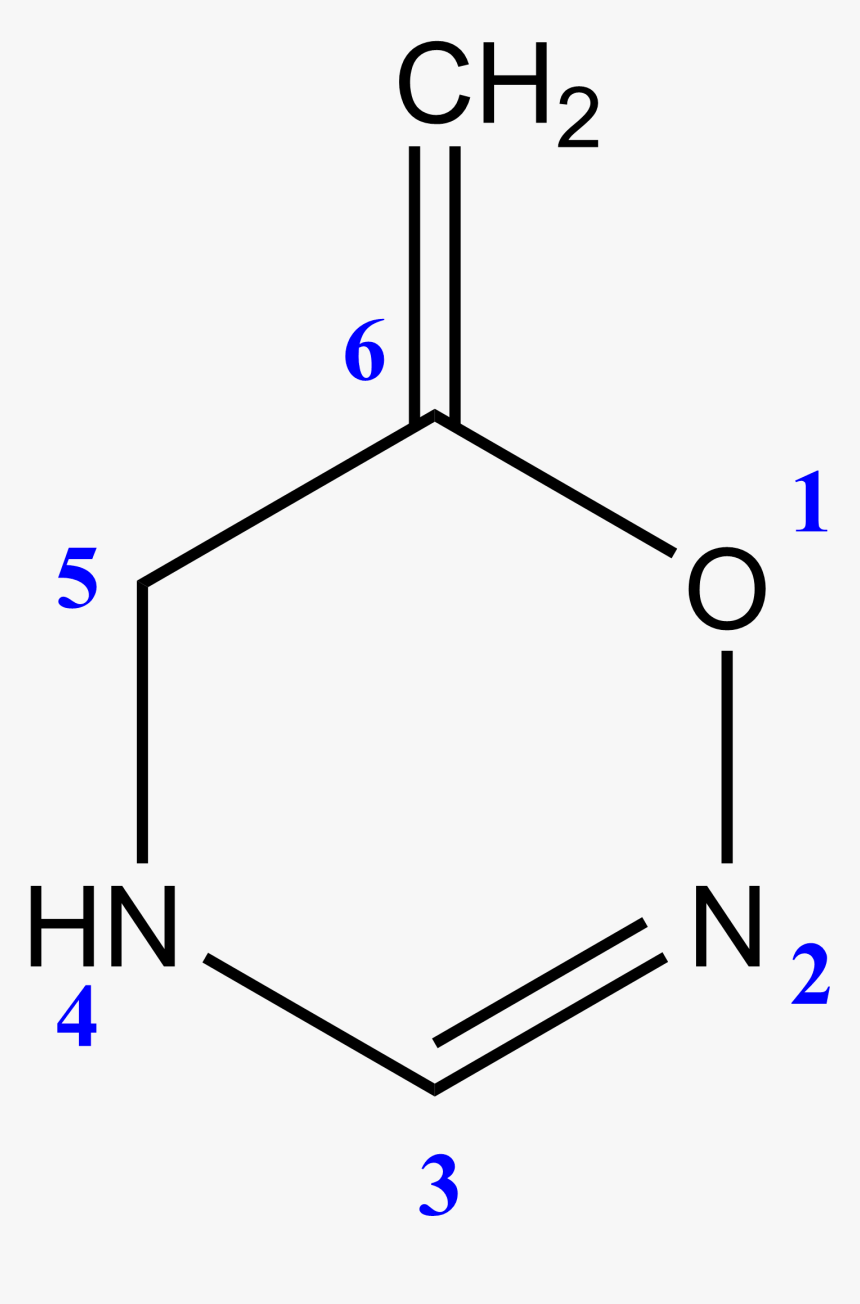 6 Metilen 5,6 Dihidro 4h 1,2,4 Oxadiazina - Cytosine Structure, HD Png Download, Free Download