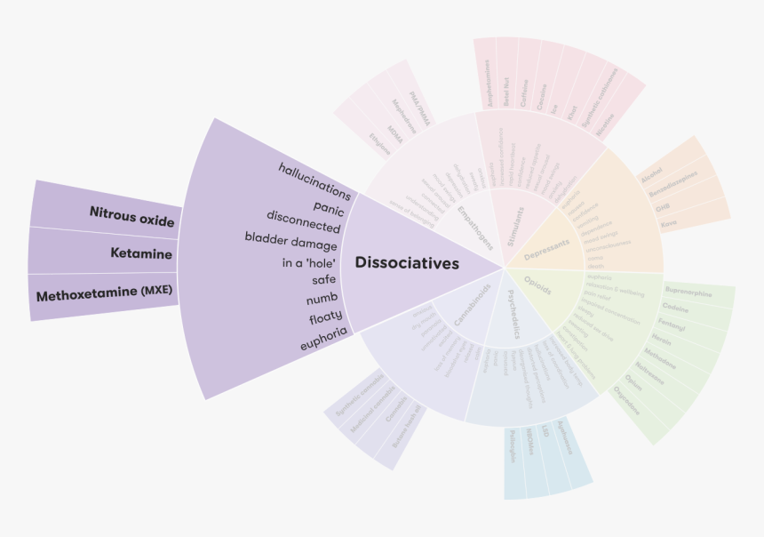 Drug Wheel Segment - Construction Paper, HD Png Download, Free Download