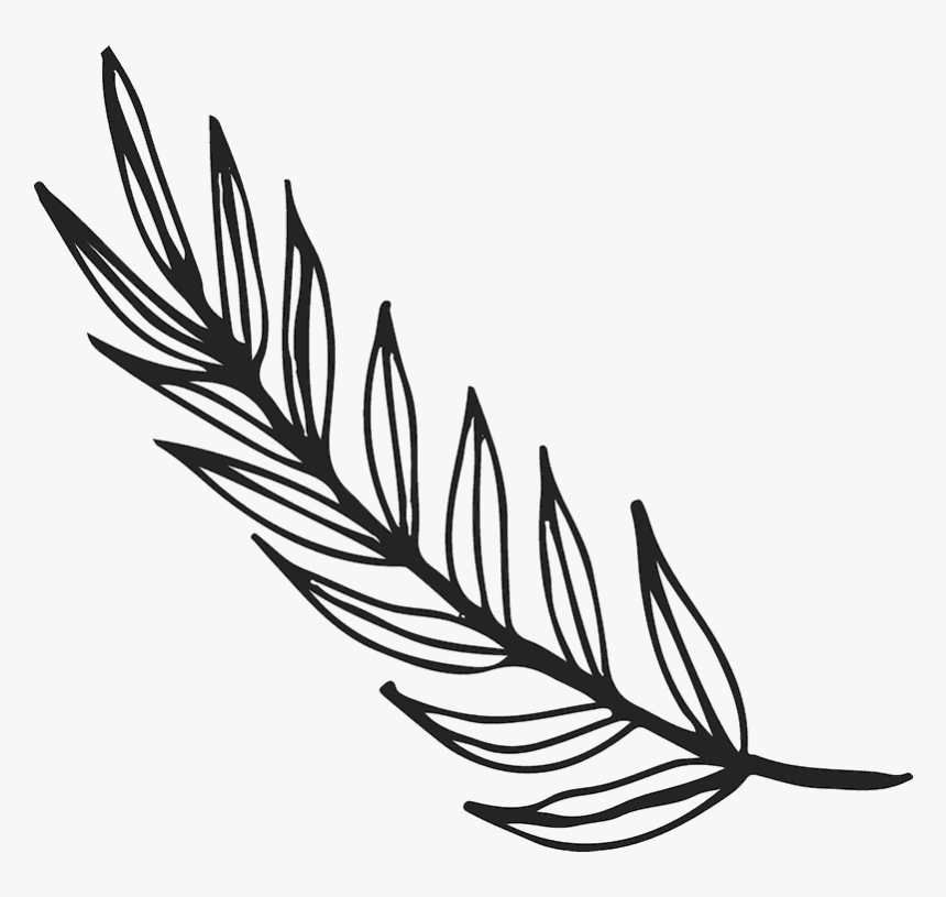Branch With Long Leaves Rubber Stamp - Leaves Line Art Png, Transparent Png, Free Download