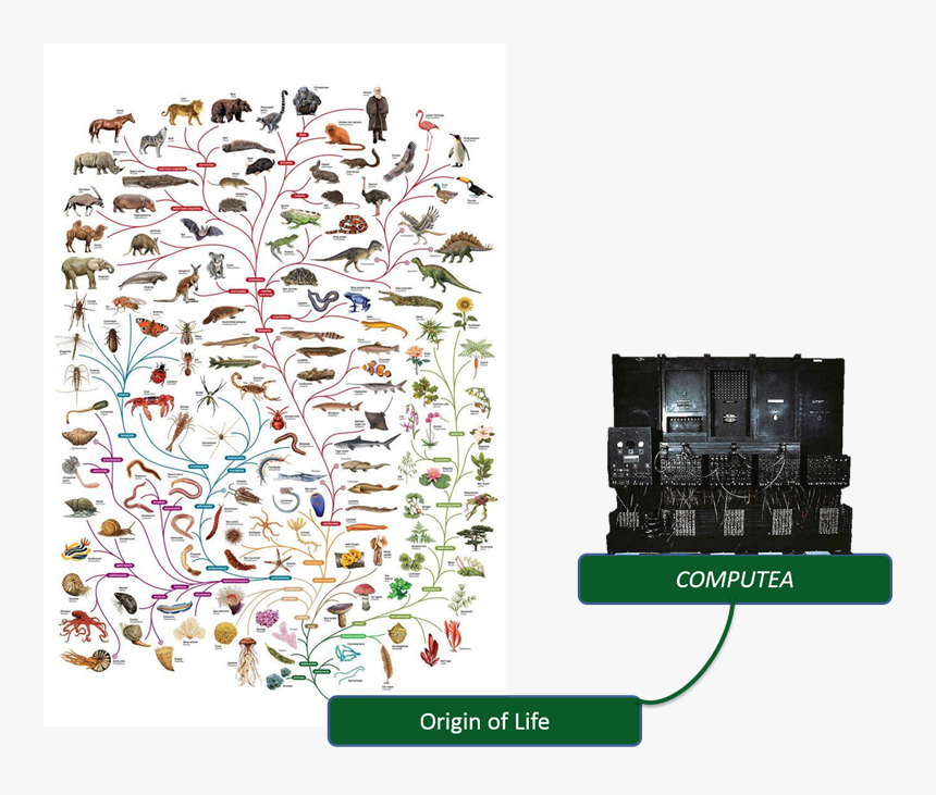 Tree Of Life Biodiversity, HD Png Download, Free Download