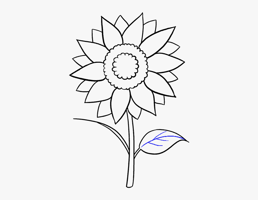 Drawing Journals Flower Aesthetic Sunflower Drawing Easy Hd Png Download Kindpng