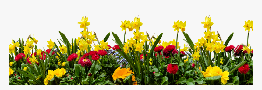 Frühling Png - Flower Garden Background Png, Transparent Png, Free Download