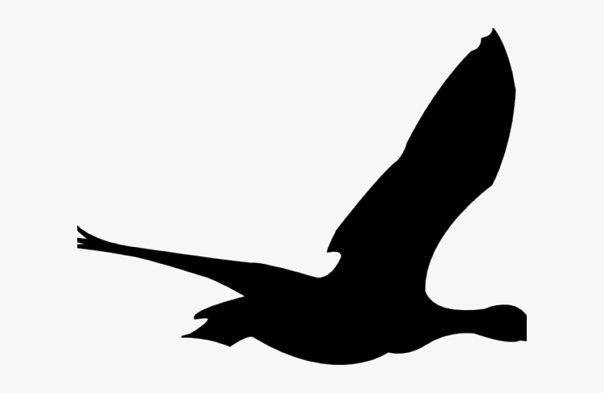 Animated Flying Bird Png, Transparent Png, Free Download