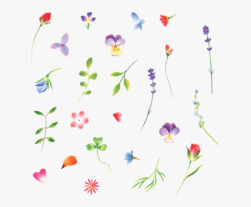 Tiny Flowers .png, Transparent Png, Free Download