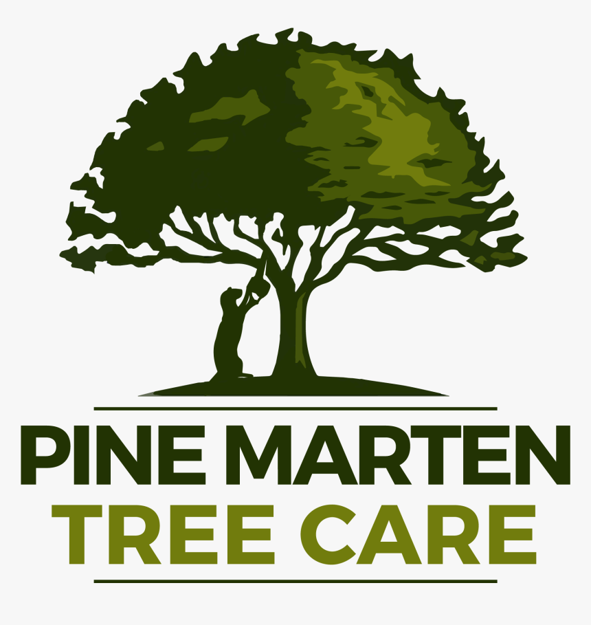 Transparent Free Estimate Png - Tree Logo Hd, Png Download, Free Download