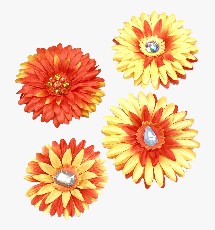 Bedazzled Flowers - Barberton Daisy, HD Png Download, Free Download