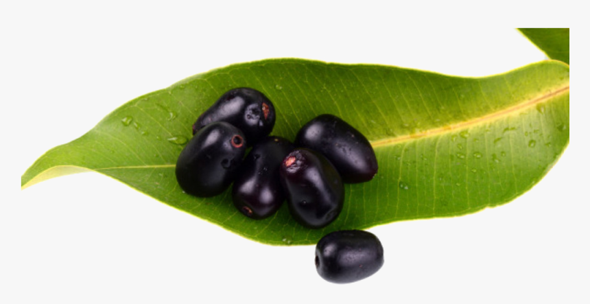 Download Jamun Java Plum Transparent Background 216 - Jamun Png, Png Download, Free Download