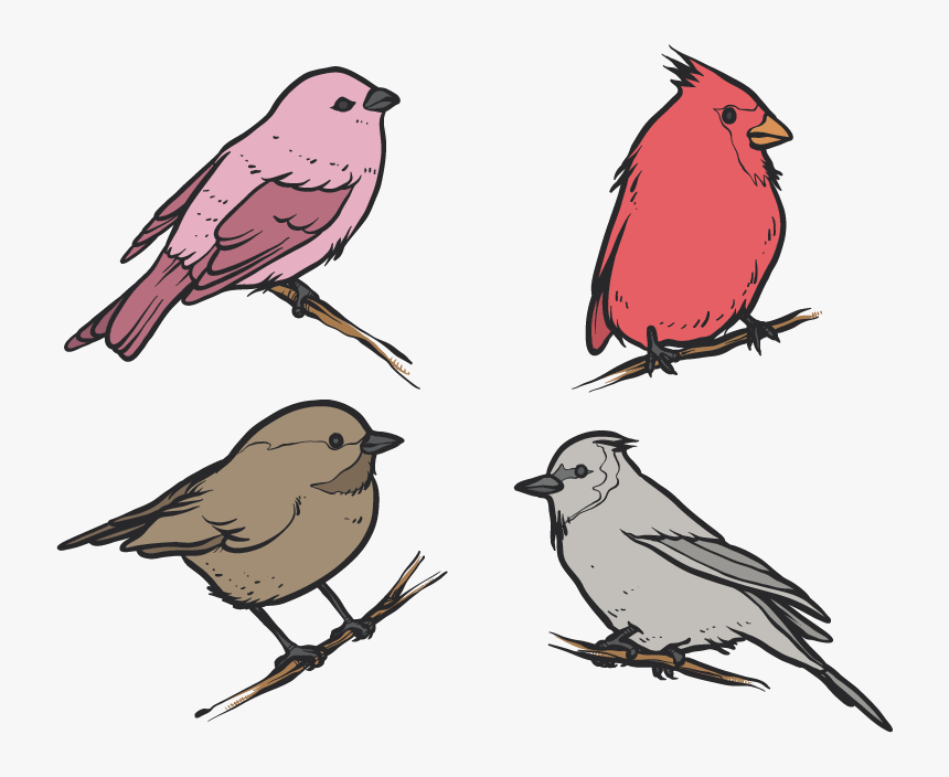 Drawing Feather Sparrow Transparent Png Clipart Free - Bird Art, Png Download, Free Download