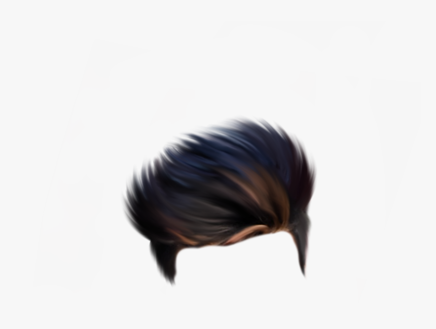 Sk Editz Hair Png, Transparent Png, Free Download