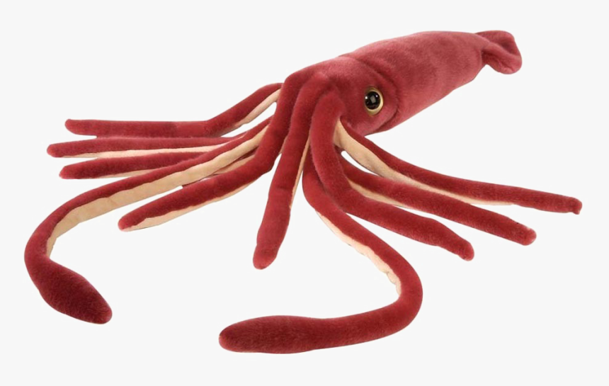 Squid Png Free Download - Wild Republic Squid, Transparent Png, Free Download