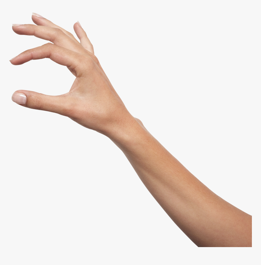 Hands Png Image - Hand Png, Transparent Png, Free Download