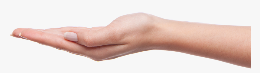 Hands.png, Transparent Png, Free Download