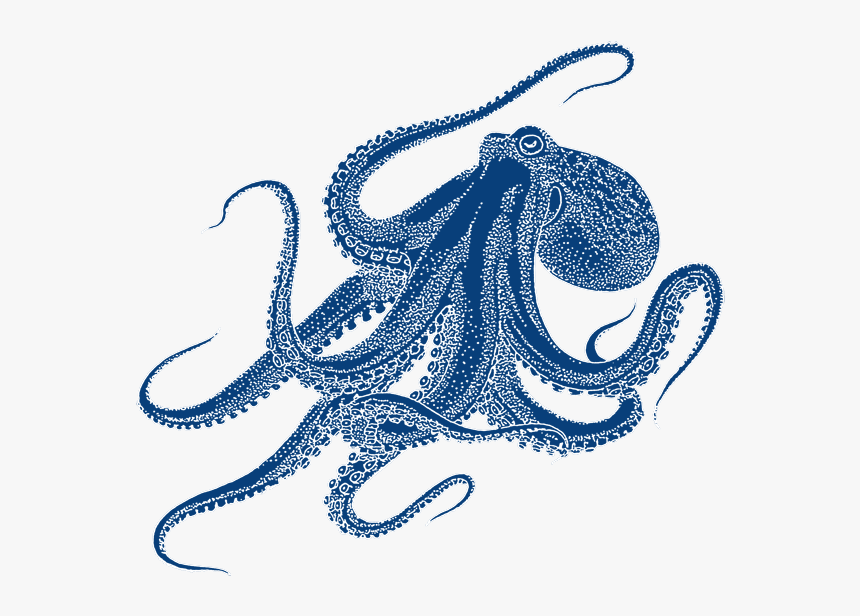 Oktopus Png Project Octopus - Octopus Transparent Png Drawing, Png Download, Free Download