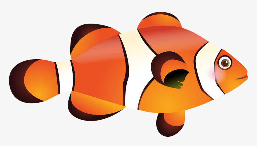 Peces De Mar Png, Transparent Png, Free Download