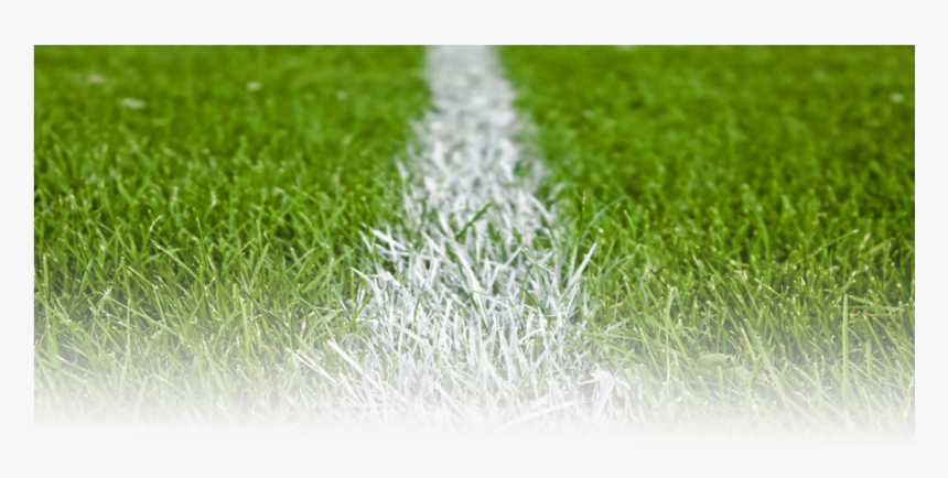 Football Grass Png - Football Pitch Grass Png, Transparent Png, Free Download