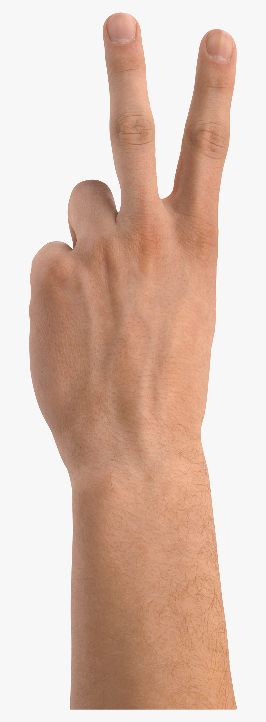 Two Finger Hand - Hand Two Fingers Png, Transparent Png, Free Download