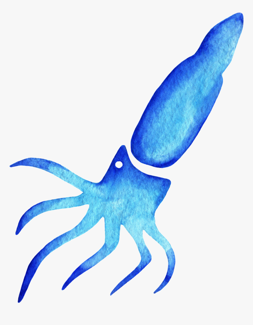 Watercolor Squid Clipart , Png Download - Watercolor Squid Transparent, Png Download, Free Download