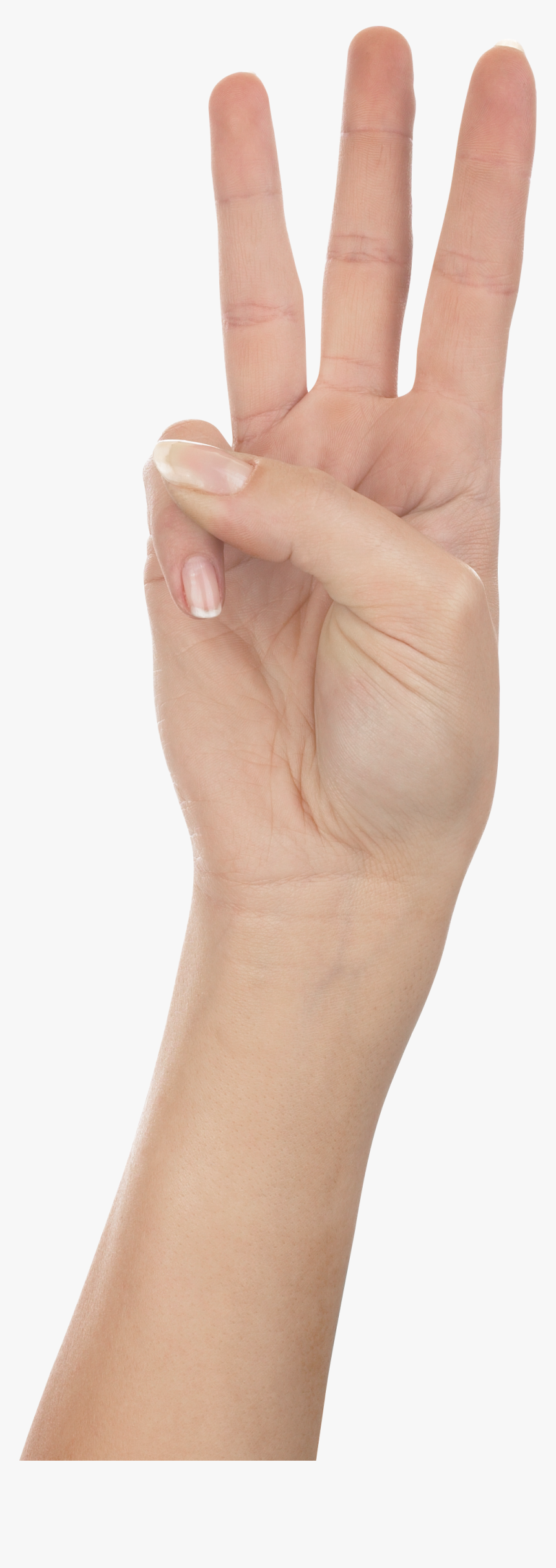 Nail Clipart Womens Hand, HD Png Download, Free Download