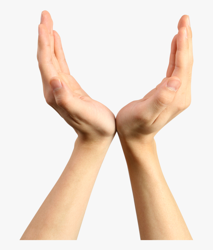 Hands Png, Hand Image Photo, Transparent Png, Free Download