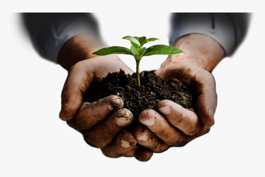 Soil In Hands Png, Transparent Png, Free Download