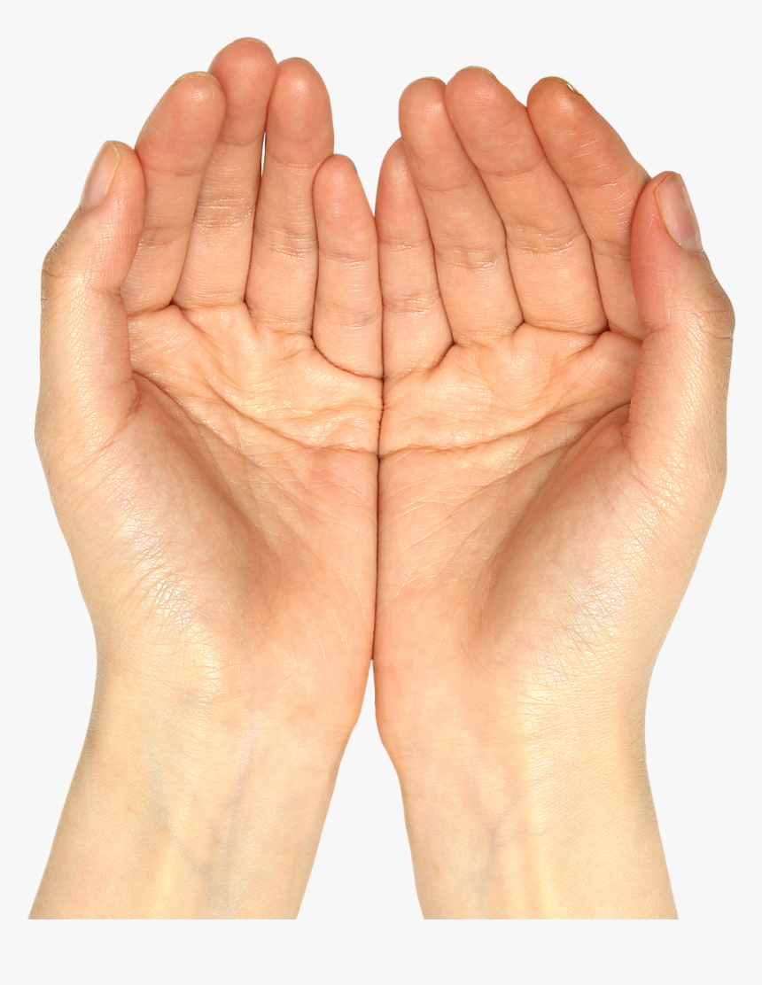 Hands Png Images, Transparent Png, Free Download